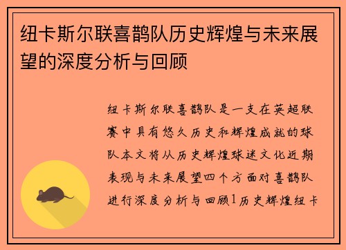 纽卡斯尔联喜鹊队历史辉煌与未来展望的深度分析与回顾