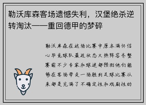 勒沃库森客场遗憾失利，汉堡绝杀逆转淘汰——重回德甲的梦碎
