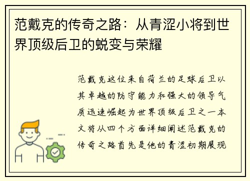 范戴克的传奇之路：从青涩小将到世界顶级后卫的蜕变与荣耀