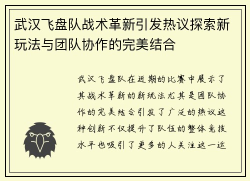 武汉飞盘队战术革新引发热议探索新玩法与团队协作的完美结合